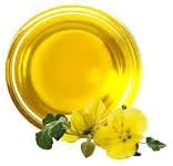 1 Gallon USDA Organic Pure Cold Pressed Evening Primrose Oil 12% GLA