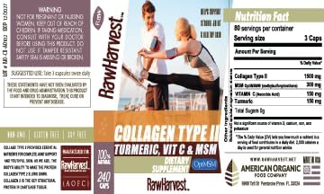 Collagen Type II with Turmeric, Vitamin C, & MSM 240 Capsules 1 Pack