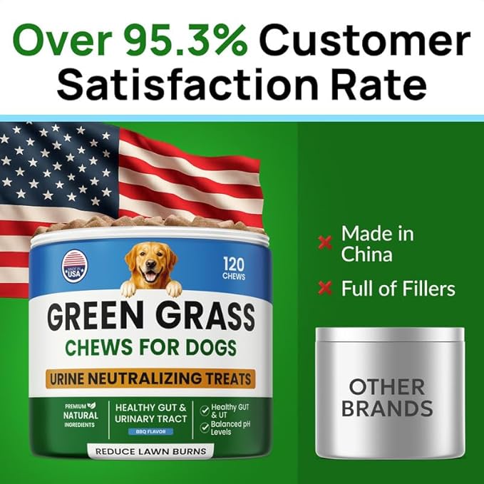 PAWFECTCHEW Dog Pee Grass Chews - Grass Treatment for Pet Urine - Neutralizer for Green Grass Burn Urine Spots - Green Lawn Chews for Dogs with Probiotics - Made in USA (120Ct)