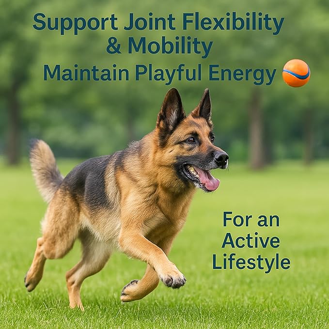 Premium Liquid Collagen for Dogs - Skin & Coat Supplement with Hyaluronic Acid & Biotin, Supports Joint Health, Mobility & Hydration for All Dogs, Bacon Flavor - 2 fl oz (2)