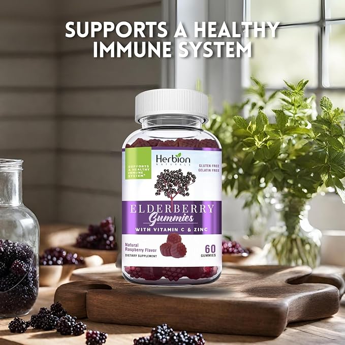 HERBION Elderberry Gummies with Vitamin C & Zinc, Healthy Immune System Support, Gluten-Free & Gelatin-Free, 60 Gummies for Adults & Children 4 Years & Above, Made in USA, Pack of 4