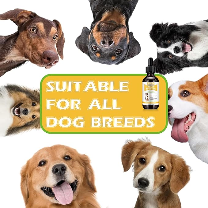 Yeast Infection Treatment for Dogs - Natural Dog Ear Infection Drops for Itch & Allergy Relief, Soothes Skin Inflammation, Dog Yeast Infection Treatment for All Breeds & Sizes, 2 fl oz