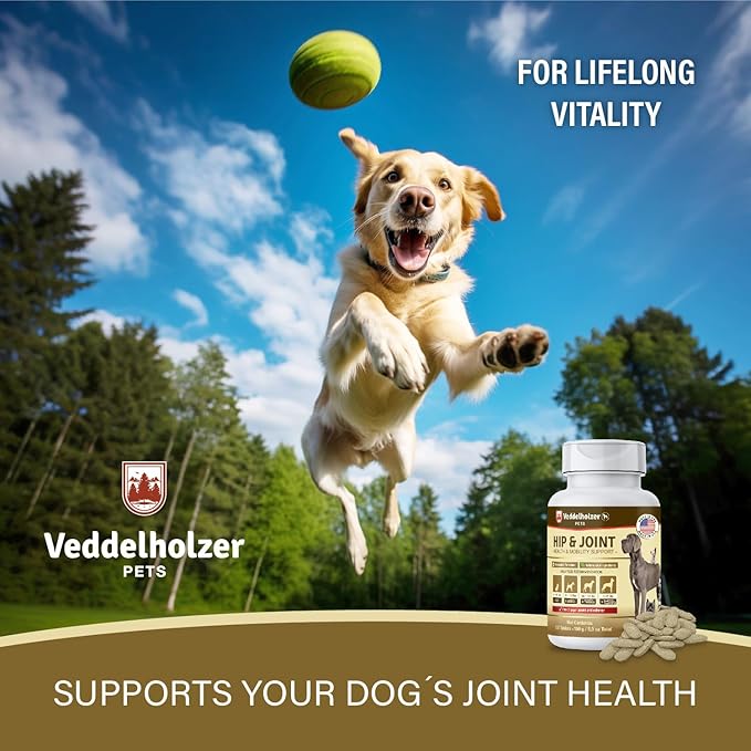 Veddelholzer Dog Joint Supplement Tablets β Hip & Joint Support with Glucosamine, Chondroitin, MSM & Turmeric β Mobility, Flexibility & Comfort Aid for Large & Small Breeds β Vet Recommended