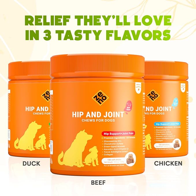 ZENO Glucosamine HCL & Hip and Joint Chews for Dogs - 150 pcs - Advanced Hip and Joint Support for Dogs - with MSM & Green Lipped Mussel - Beef