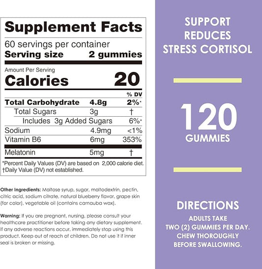 Nature's Key Melatonin Gummies for Kids & Adults, 2.5mg 5mg or 10mg Dose Gummy with Vitamin B6, Natural Blueberry Flavor 120 Ct