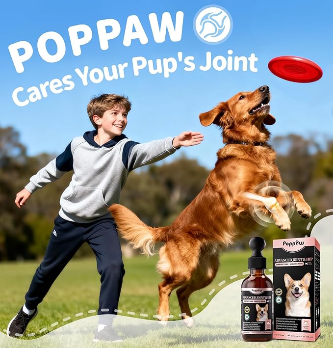 Joint Supplement for Dogs - 10 in 1 Hip and Joint Supplement Drops with Hyaluronic Acid, Liquid Glucosamine for Dogs with Chondroitin, MSM & Omega 3-2 FL.Oz - for All Breeds & Sizes