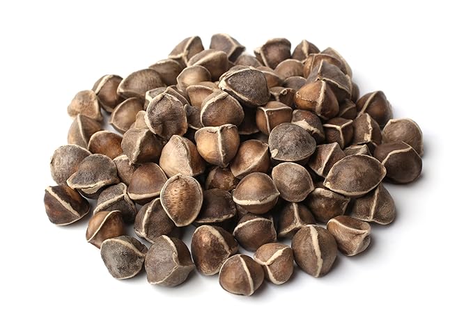Moringa Seeds Wingless PKM1, Edible, Malunggay, Drumstick Tree Herbal Tea - Resealable Bag - 56 grams - Premium Quality (Moringa Seeds Wingless)