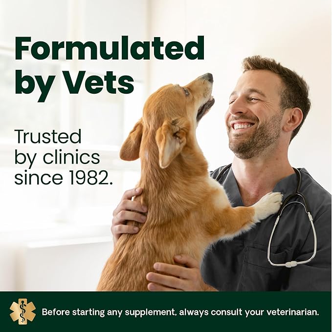 VetriScience Healthy Skin & Coat Chews, Derma Strength Omega-3 Salmon Oil Supplement for Dogs, Omega Skin and Coat Chews, Skin Health, Coat Growth, Veggie, 70 Count