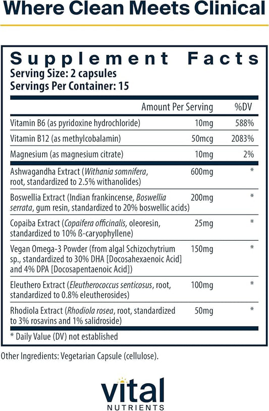 Vital Nutrients Cortisol Balance - Vegan Stress Relief Supplement - Cortisol Manager Supports Energy & Stress Levels - Ashwagandha & Magnesium for Relaxation - Gluten, Dairy, Soy Free - 90 Capsules