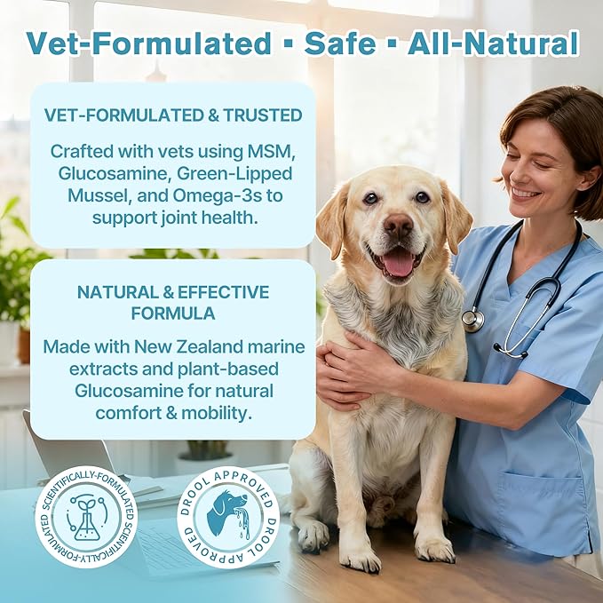 Hip & Joint Senior Dog Supplement–Advanced Glucosamine Chondroitin for Dogs with MSM, Green Lipped Mussel,and Omega-3 – Supports Mobility and Reduces Joint Pain for Senior Dogs(120ct Chewable Tablets)