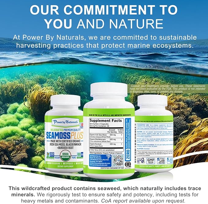 Power By Naturals Sea Moss Plus – USDA Organic Irish Sea Moss Capsules with Bladderwrack & Burdock Root – Immune Support – Vegan, Non-GMO, Gluten-Free – 120 Capsules, 2-Pack (2-Month Supply)