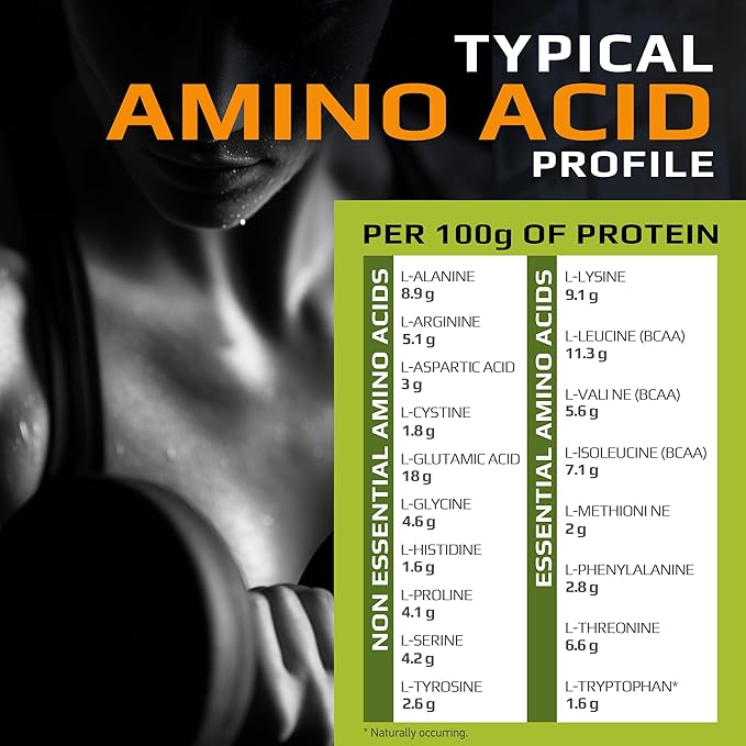 MFL Muscle Whey Protein l 28g of Protein l 8g BCAAs l Keto Friendly l Low Carbs l 2 lbs (Chocolate Lava)