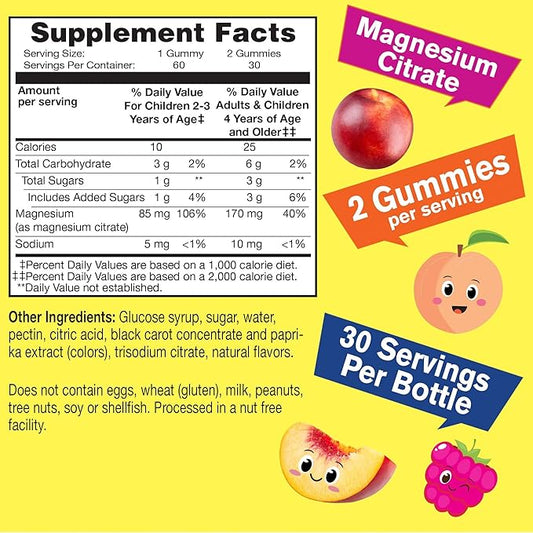 WellYeah Magnesium Citrate Gummies for Kids - Chewable Stress Relief Supplement for Children - Natural Calm, Mood Support, Non-GMO, Gluten Free - Natural Sourced Flavors - 60 Gummies