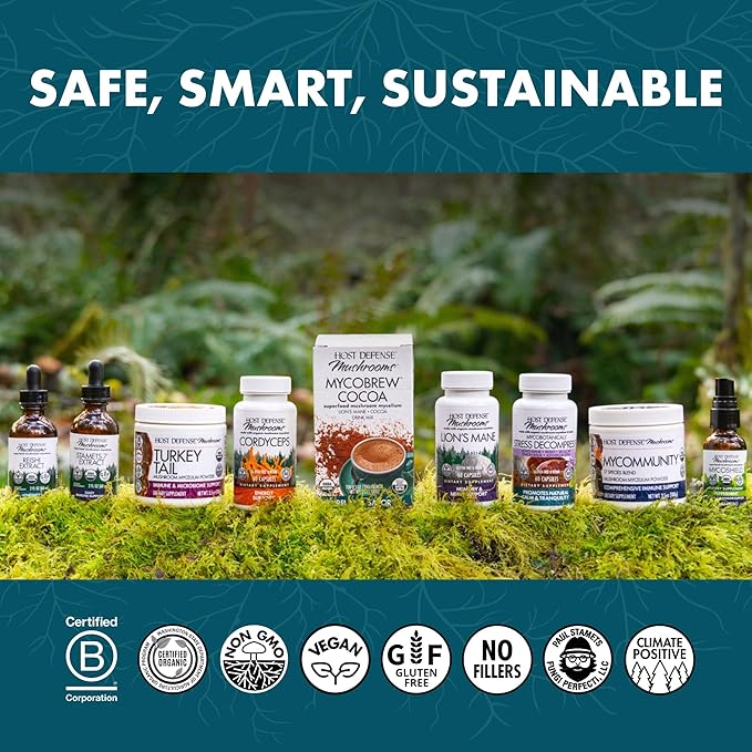 Host Defense CordyChi Capsules - Energy & Immune Support Supplement - Cordyceps & Reishi Mushroom Supplement for Relaxation & Respiratory Support - Aids Against Tiredness - 120 Capsules