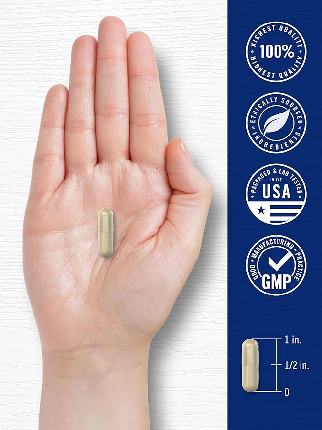 Carlyle Cortisol Supplement | 60 Vegan Capsules | Ashwagandha & Magnesium Complex | Non-GMO, Gluten Free