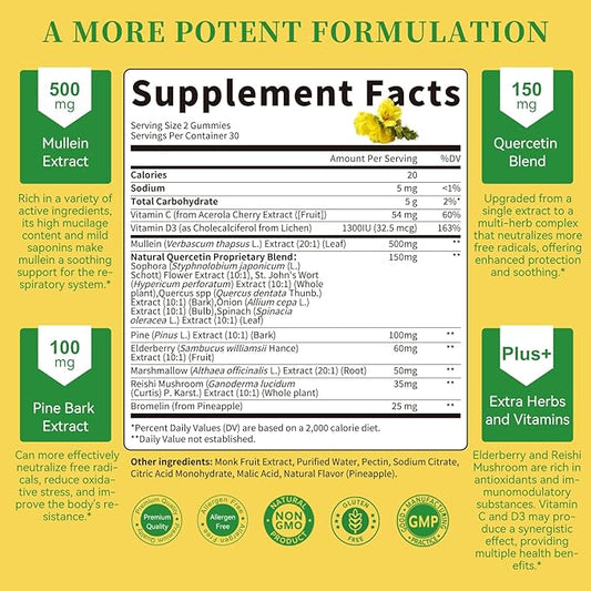 (2 Pack) 9 in 1 Mullein Gummies for Lung Cleanse & Lymphatic Drainage*, Extra Strength Mullein Leaf Extract w/Quercetin, Bromelain, Elderberry & Marshmallow for Respiratory & Immunity,Vegan,120 Count