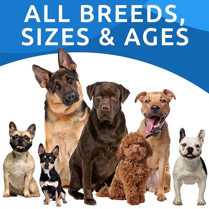 BARK&SPARK Dog Allergy Relief Soft Chews for Skin Health & Seasonal Allergies - Anti-Itch Supplement w/Omega-3, Quercetin & Bromelain Immune Treats for Dry Skin & Hot Spots - Chicken Liver - 240ct