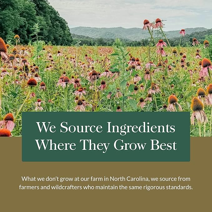 Gaia Herbs Turmeric Supreme Extra Strength - Supports Occasional Discomfort from Normal Wear & Tear* - with Turmeric Curcumin & Black Pepper - 120 Vegan Liquid Phyto-Caps (Up to 120 Servings)