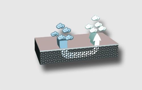 Pedag Viva | Leather Arch Support Inserts | Handmade in Germany | Plantar Fasciitis Relief | Heel Cushion | Activated Charcoal Odor Control | Metatarsal Support Pad | Tan | Women US 6/ EU 36