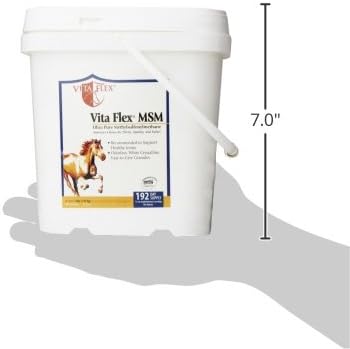 Vita Flex MSM Ultra Pure Joint Supplement for Dogs, Horses & Cats, 4 Pounds – MSM Supplement, Powder for Healthy Joints, Collagen & Mobility Support