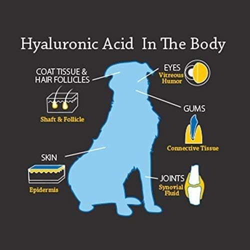 Hyalogic HyaFlex PRO – Hyaluronic Acid Joint Supplement for Dogs – Glucosamine & MSM Hip & Joint Support – for Dog Joints – 30-60 Day Supply - 240ml