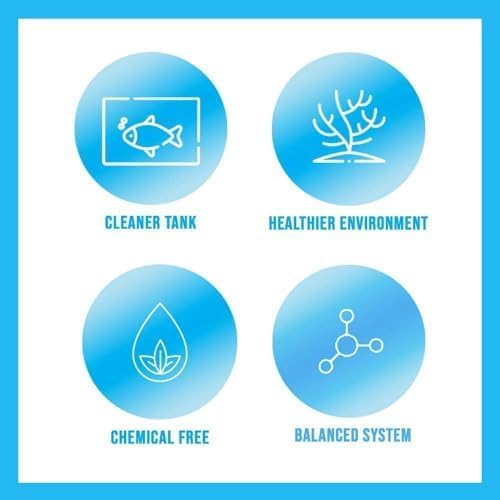 MICROBE-LIFT Special Blend Aquarium Treatment, Fish Tank Water Conditioner for Freshwater and Saltwater Tanks, Helps with Aquarium Algae Control and Odor, 1 Gallon (SBHG1)