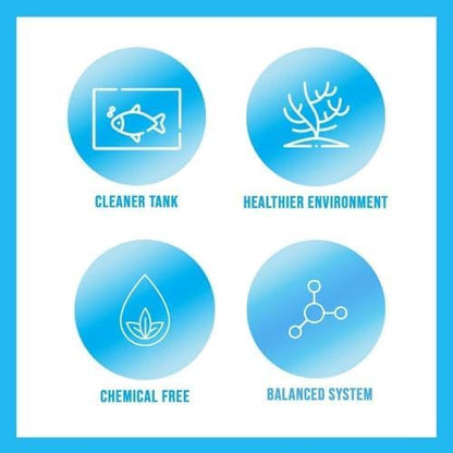 MICROBE-LIFT Special Blend Aquarium Treatment, Fish Tank Water Conditioner for Freshwater and Saltwater Tanks, Helps with Aquarium Algae Control and Odor, 1 Gallon (SBHG1)