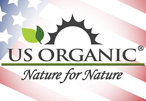 US Organic 100% Pure Eucalyptus Essential Oil (Globulus) - USDA Certified Organic, Steam Distilled - W/Euro droppers (More Size Variations Available) (30 ml / 1 fl oz)