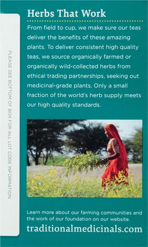 Traditional Medicinals Tea, Organic Rose Hips & Hibiscus - Supports Everyday Wellness - Kosher, Non-GMO, Caffeine-Free - 16 Tea Bags (Pack of 2)