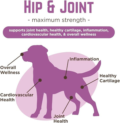 Dr. Joseph's VetPro Complete Dog Hip & Joint Supplement for Arthritis Pain Relief – High-Strength Glucosamine & Chondroitin Chews for Senior Dogs – Vet Formulated Daily Treats, Chicken Flavor, 120 Ct