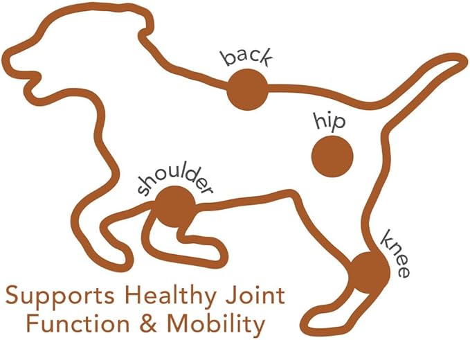 Vet's Best Advanced Hip & Joint Soft Chew Dog Supplements - Formulated with Glucosamine and Chondroitin to Support Dog Joint and Cartilage Health -30 Day Supply