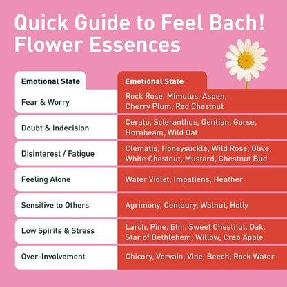 Feel Bach! Love & Relationship Remedy - Natural Homeopathic Flower Essences to Enhance Interpersonal Relations - Feel More Open - Vegan, Gluten & Sugar-Free, Non-Habit Forming, 20ml (0.7 fl oz)