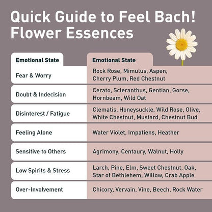 Feel Bach! Quit Smoking Remedy - Natural Homeopathic Flower Essences for Natural Quit Companion to Helps you Let Go, To Calm & In Charge Vegan, Gluten & Sugar-Free, Non-Habit Forming, 20ml (0.7 fl oz)