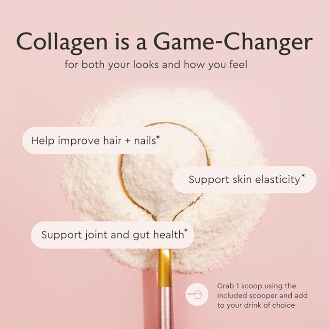 Alaya Multi Collagen Powder - Type I, II, III, V, X Hydrolyzed Collagen Peptides Protein Powder Supplement with MSM + GC (Chocolate)