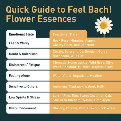 Feel Bach! FeelFive for Pets Remedy, Natural Homeopathic Flower Essences for Emergency Support, Relief of Fear, Worry and New Adoption, Vegan, Gluten & Sugar-Free, Non-Habit Forming, 20ml (0.7 fl oz)