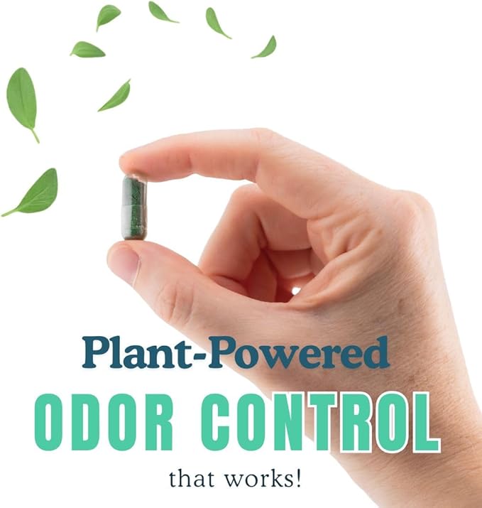 Whole Body Deodorizing Supplement - 100% Natural Internal Deodorant, Sweat Relief - Body Odor Pills Reduce Odor in Underarms, Intimate Areas & Feet - 60 Chlorophyll Capsules for Gut Health
