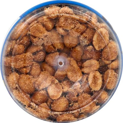 PLANTERS Honey Roasted Peanuts,Dry Roasted Peanuts,Party Snack,Plant-Based Protein,After School Snack,Sweet and Salty,Salted Nuts,Sea Salt & Honey,Snacks for Adults,Kosher,16oz Jar,(Pack of 4)