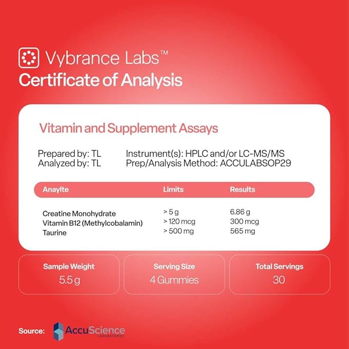 VYBRANCE LABS Creatine Gummies for Women & Men — First & Only 5g Creatine + Taurine + Vitamin B12 | Vegan Creatine Gummies | Sugar-Free | Watermelon