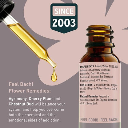 Feel Bach! Quit Smoking Remedy - Natural Homeopathic Flower Essences for Natural Quit Companion to Helps you Let Go, To Calm & In Charge Vegan, Gluten & Sugar-Free, Non-Habit Forming, 20ml (0.7 fl oz)
