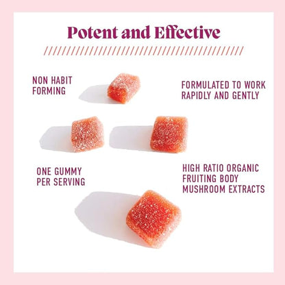 Microjoy Elevate – Mood Support, Relaxation & Stress Relief Gummies – with L-Theanine, Lion’s Mane, 5-HTP & B6 – Vegan, Non-GMO – 30ct – Strawberry