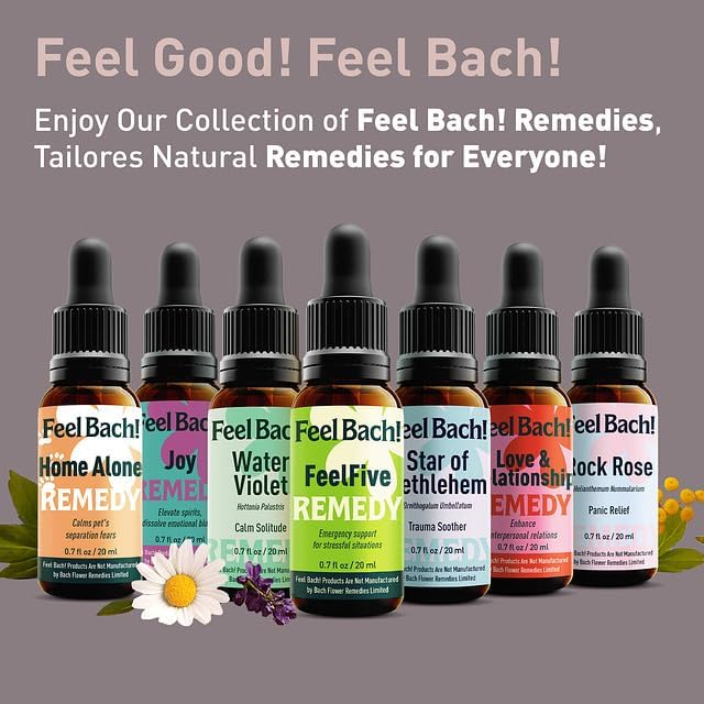 Feel Bach! Quit Smoking Remedy - Natural Homeopathic Flower Essences for Natural Quit Companion to Helps you Let Go, To Calm & In Charge Vegan, Gluten & Sugar-Free, Non-Habit Forming, 20ml (0.7 fl oz)