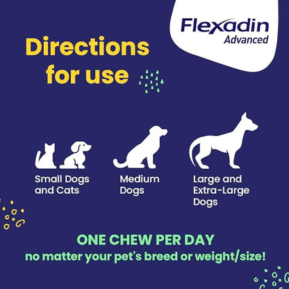 Vetoquinol Flexadin Advanced Hip and Joint Supplement with Undenatured Collagen for Dogs, One Chew a Day Hip and Joint Support Chew for Dogs and Cats, Clinically Proven Vet-Approved Formula, 60 Chews