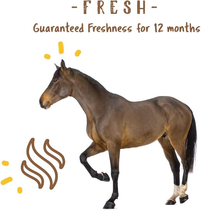 Manna Pro Simply Flax for Horses – Omega-3 Rich Flaxseed Supplement – Supports Coat Health, Joint Function & Immune System – Natural Source of Essential Fatty Acids – Ground Flax – 8 lb Bag