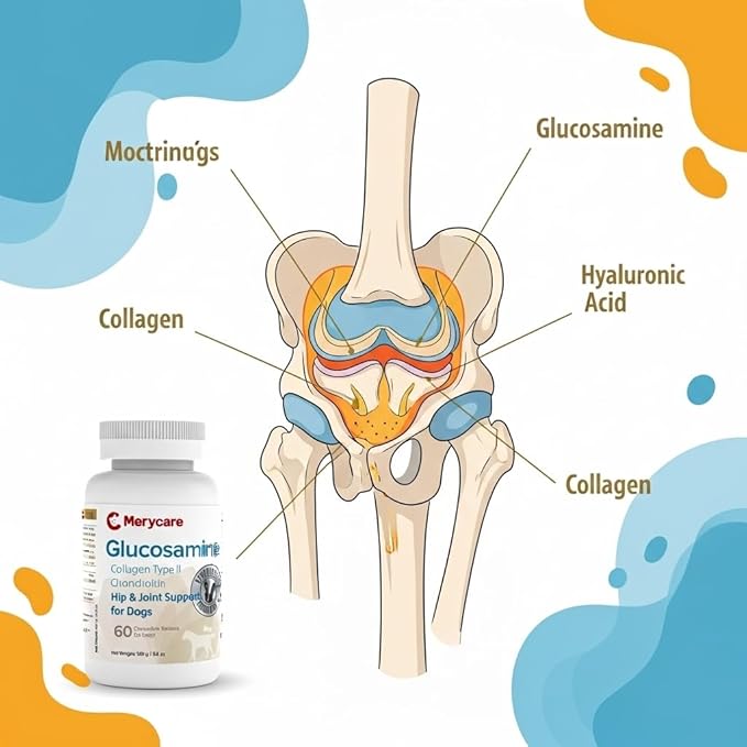 Glucosamine for Dogs – Hip & Joint Support Chewable Tablets with Collagen Type II, Chondroitin, MSM & Hyaluronic Acid – Veterinarian-Formulated – 60 Count
