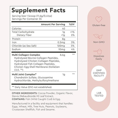 Alaya Multi Collagen Powder - Type I, II, III, V, X Hydrolyzed Collagen Peptides Protein Powder Supplement with MSM + GC (Chocolate)