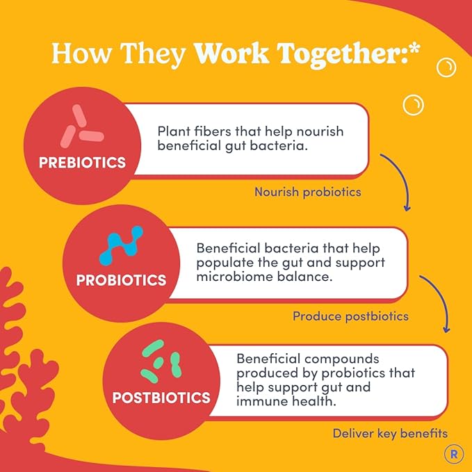 FIRST DAY Kids Probiotic Gummies - 3 in 1 Probiotics for Kids + Prebiotic & Postbiotic - Prebiotics & Probiotics for Digestive Health & Immune Support – Vegan, Gluten Free, 30-Day Supply