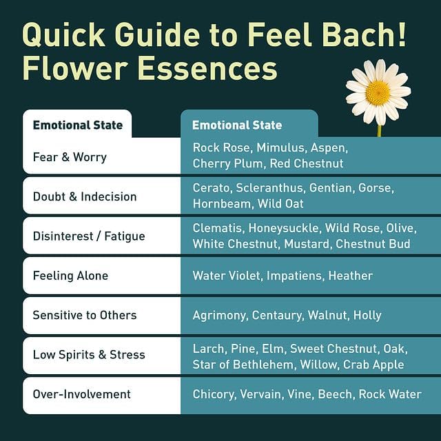 Feel Bach! Sweet Dreams #2 Remedy - Natural Homeopathic Flower Essences for Restful Sleep & Emotional Tension - Reduces Fatigue Vegan, Gluten & Sugar-Free, Non-Habit Forming, 20ml (0.7 fl oz)