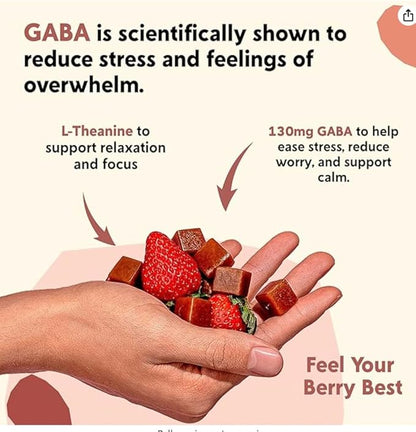 PYM Berry Mood Chews Support for Stress, Worry & Overwhelm, 60 Count | 130mg GABA, 90mg L-Theanine | Vegan,Non-GMO, Gluten-Free,No Added Sugar | All-Natural Mood Balance Supplement in Resealable Bag