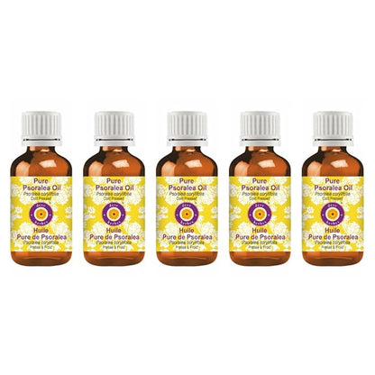 dève herbes Pure Psoralea Oil (Psoralea corylifolia) Cold Pressed (Pack of Five) 100ml X 5 (16.9 oz)