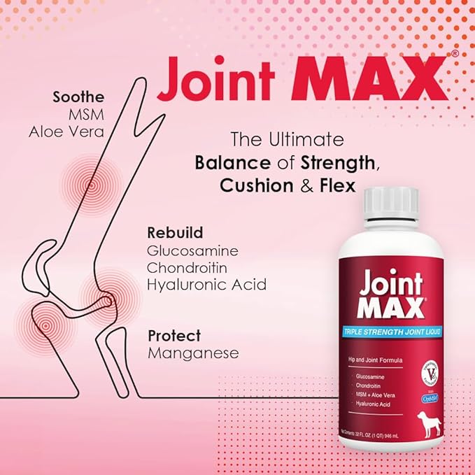 Liquid for Dogs – Glucosamine Chondroitin MSM Hip & Joint Supplement Liquid with Organic Turmeric – All-Natural Dog Joint Support Oil for Mobility, Arthritis, Skin & Coat – 32 fl oz
